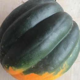 Acorn Squash with Greens 